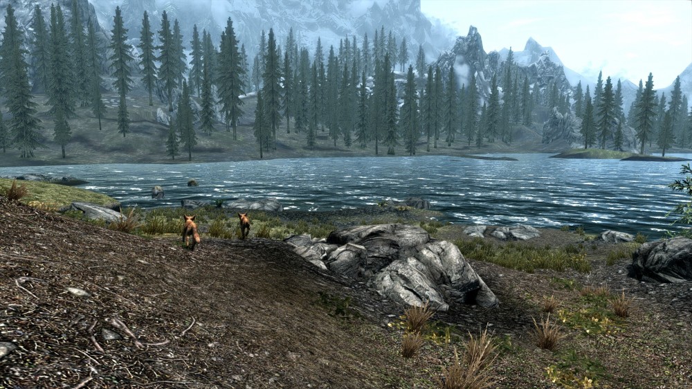 The Elder Scrolls V: Skyrim
