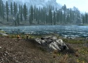 The Elder Scrolls V screenshot