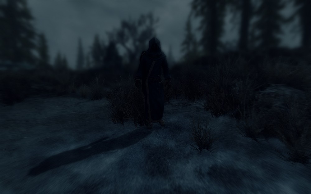 The Elder Scrolls V: Skyrim