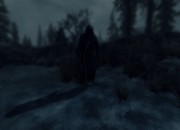 The Elder Scrolls V: Skyrim