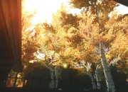 The Elder Scrolls V: Skyrim