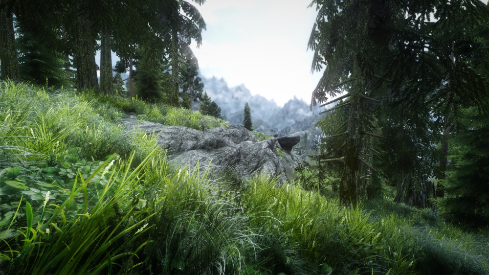 The Elder Scrolls V: Skyrim