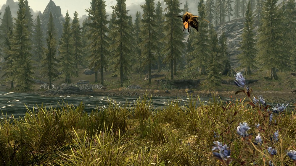 The Elder Scrolls V: Skyrim