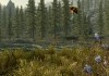 The Elder Scrolls V: Skyrim