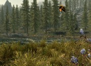 The Elder Scrolls V: Skyrim