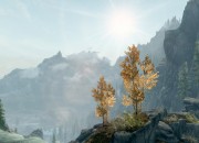 The Elder Scrolls V: Skyrim