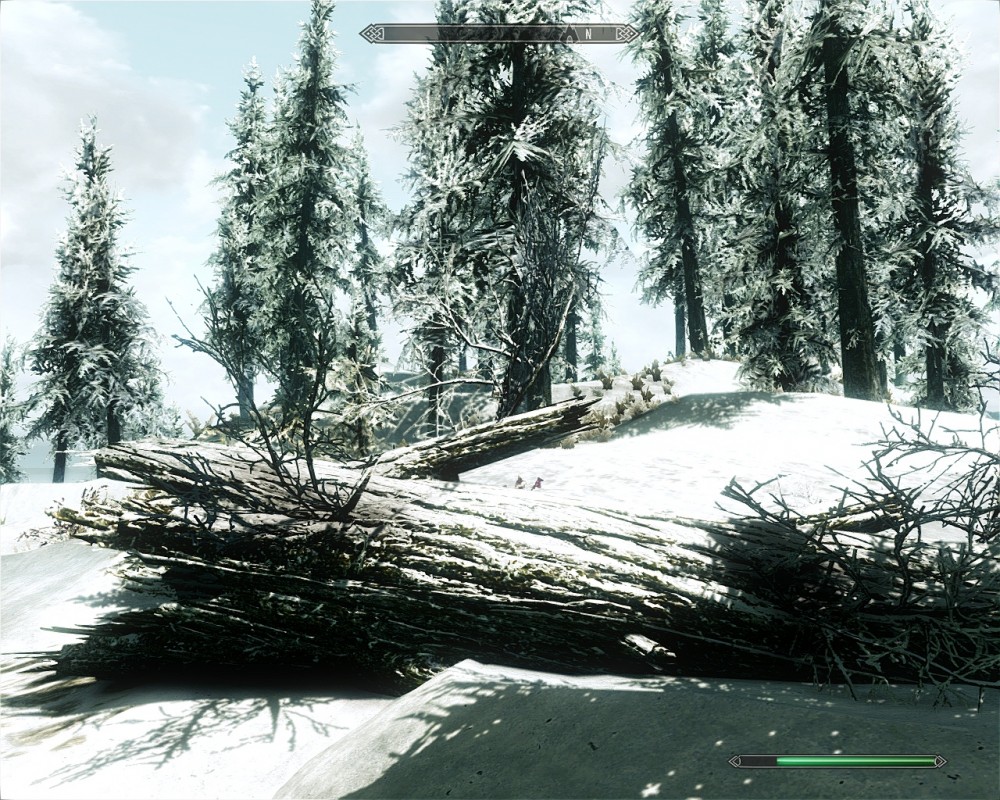 The Elder Scrolls V: Skyrim