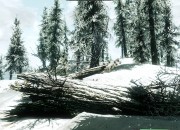 The Elder Scrolls V: Skyrim
