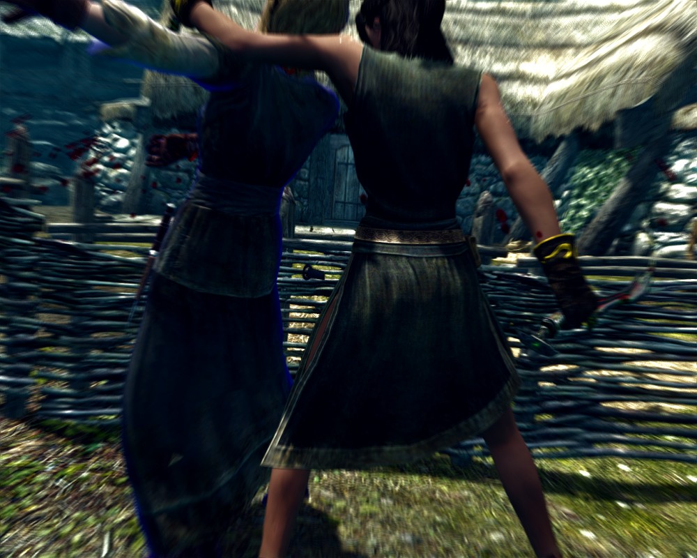 The Elder Scrolls V: Skyrim