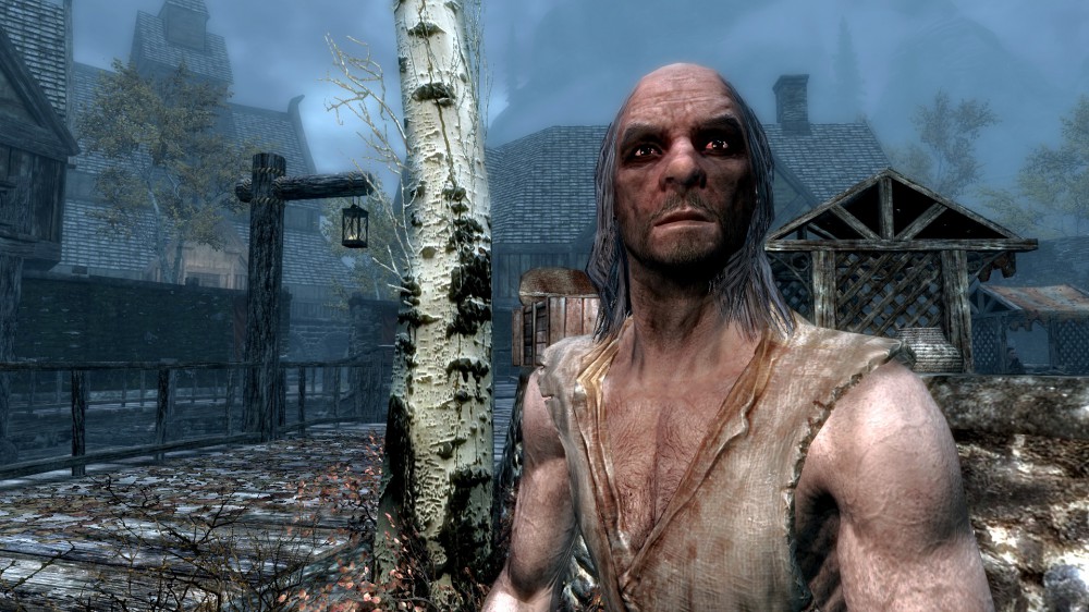 The Elder Scrolls V: Skyrim