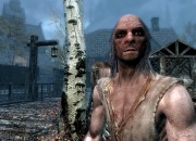 The Elder Scrolls V: Skyrim