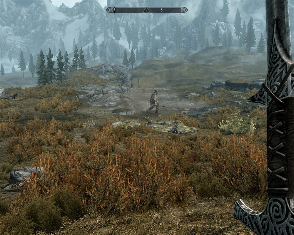 The Elder Scrolls V: Skyrim