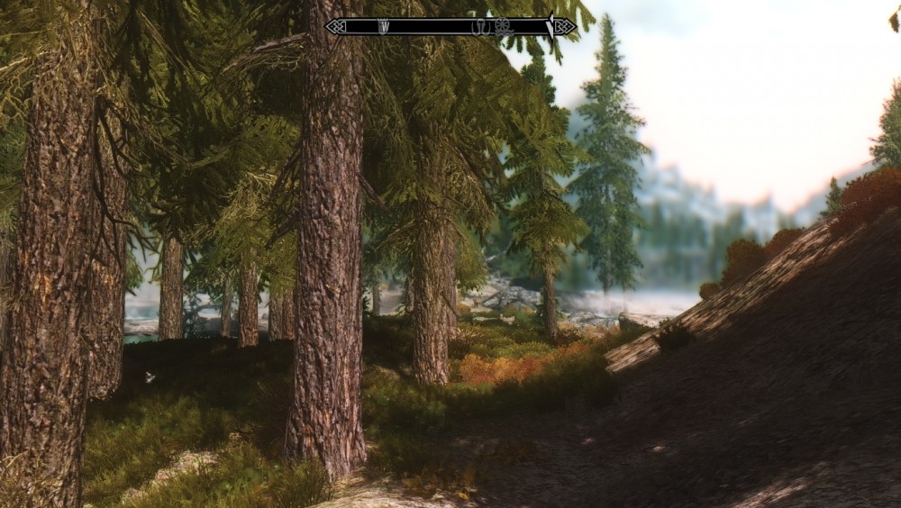 The Elder Scrolls V: Skyrim
