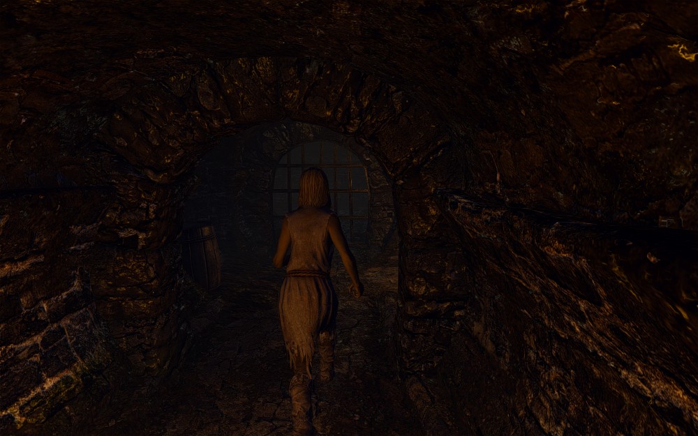 The Elder Scrolls V: Skyrim