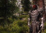 The Elder Scrolls V: Skyrim
