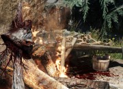 The Elder Scrolls V: Skyrim