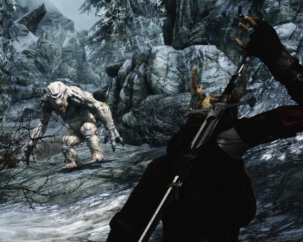 The Elder Scrolls V: Skyrim