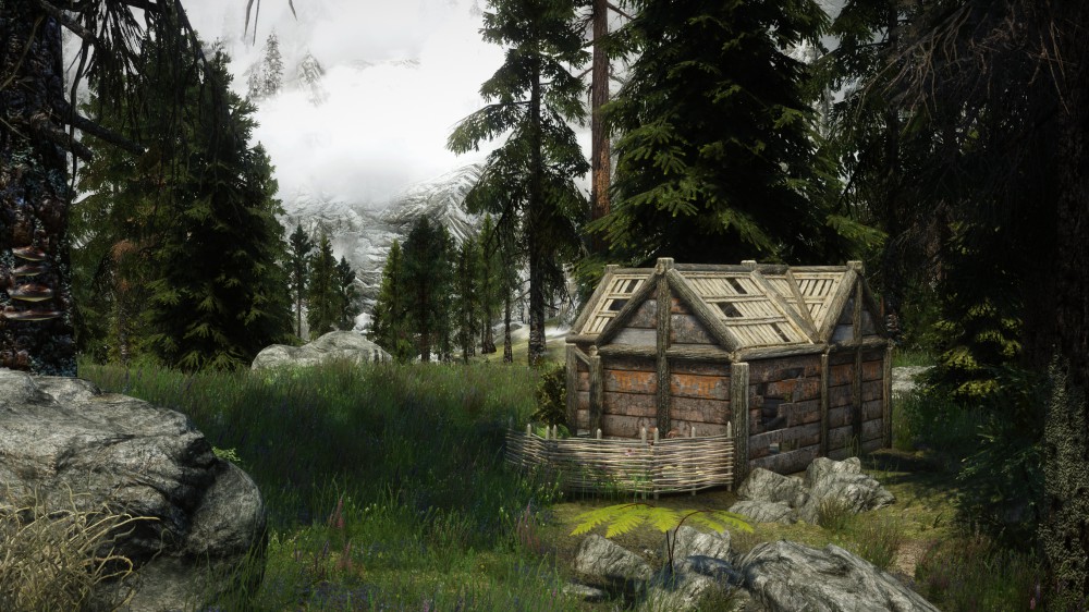 The Elder Scrolls V: Skyrim