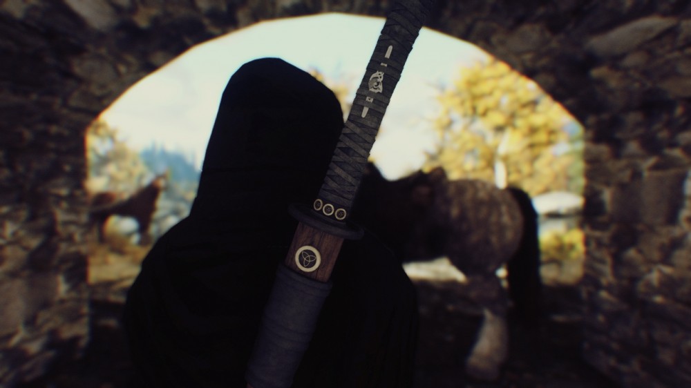 The Elder Scrolls V: Skyrim