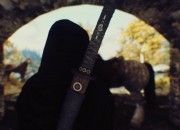 The Elder Scrolls V: Skyrim