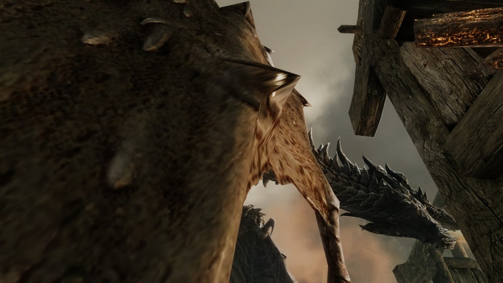 The Elder Scrolls V: Skyrim