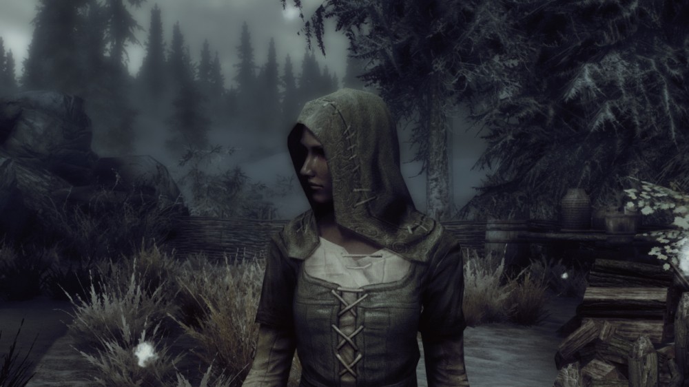 The Elder Scrolls V: Skyrim