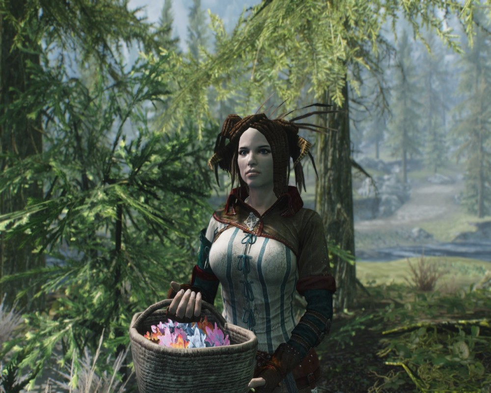 The Elder Scrolls V: Skyrim