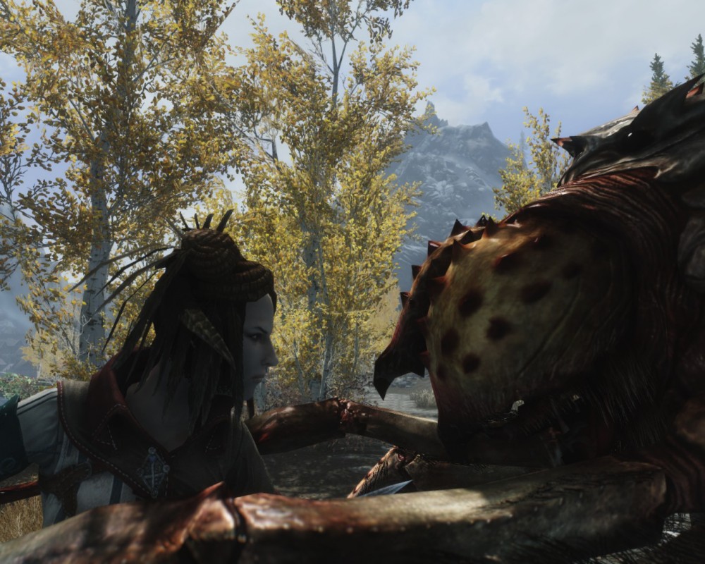 The Elder Scrolls V: Skyrim