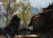 The Elder Scrolls V: Skyrim