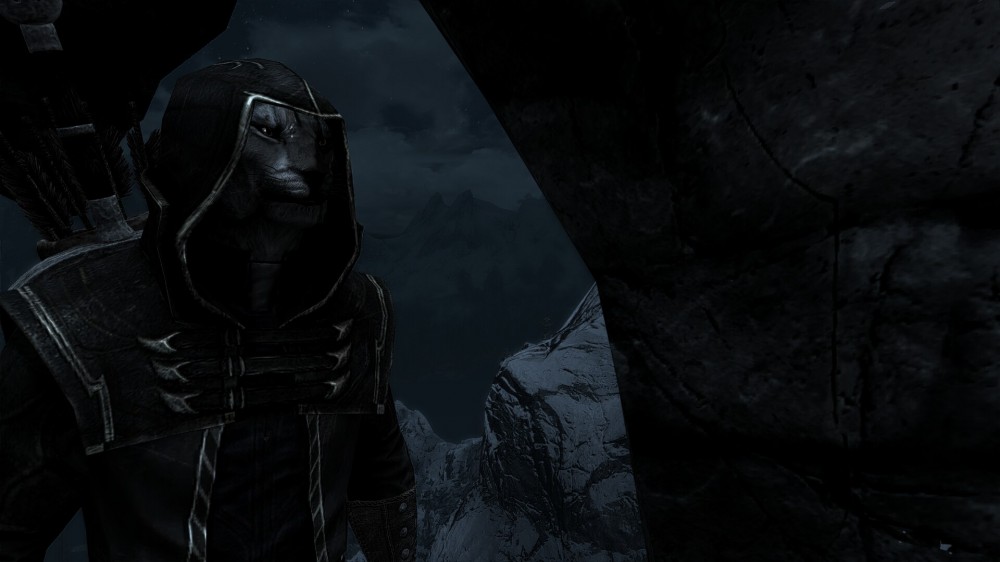 The Elder Scrolls V: Skyrim