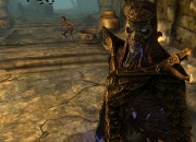 The Elder Scrolls V: Skyrim