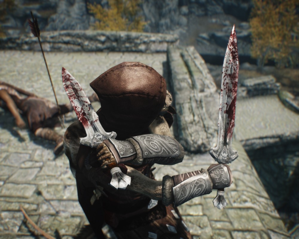 The Elder Scrolls V: Skyrim