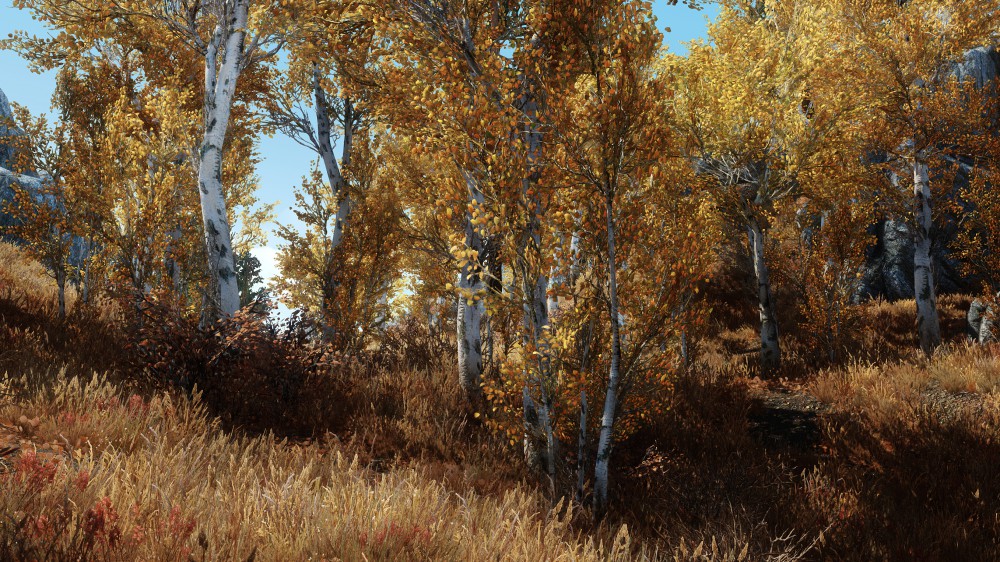 The Elder Scrolls V: Skyrim