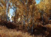 The Elder Scrolls V: Skyrim