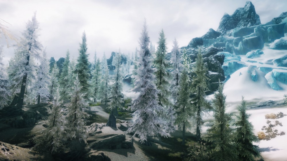The Elder Scrolls V: Skyrim