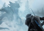 The Elder Scrolls V: Skyrim