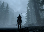 The Elder Scrolls V: Skyrim