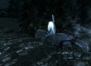 The Elder Scrolls V: Skyrim