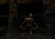 The Elder Scrolls V screenshot