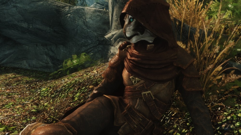 The Elder Scrolls V: Skyrim