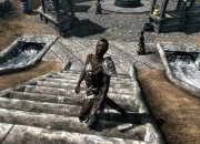 The Elder Scrolls V screenshot