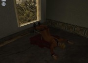 Hitman 2 screenshot