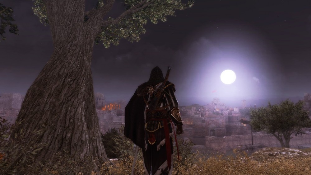 Assassin's Creed: Brotherhood