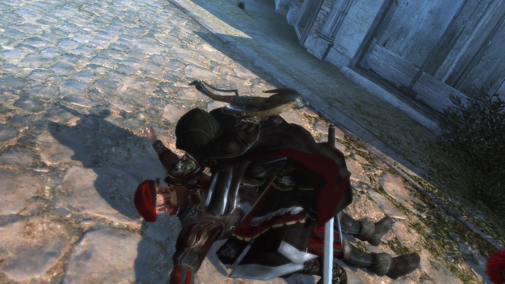 Assassin's Creed: Brotherhood
