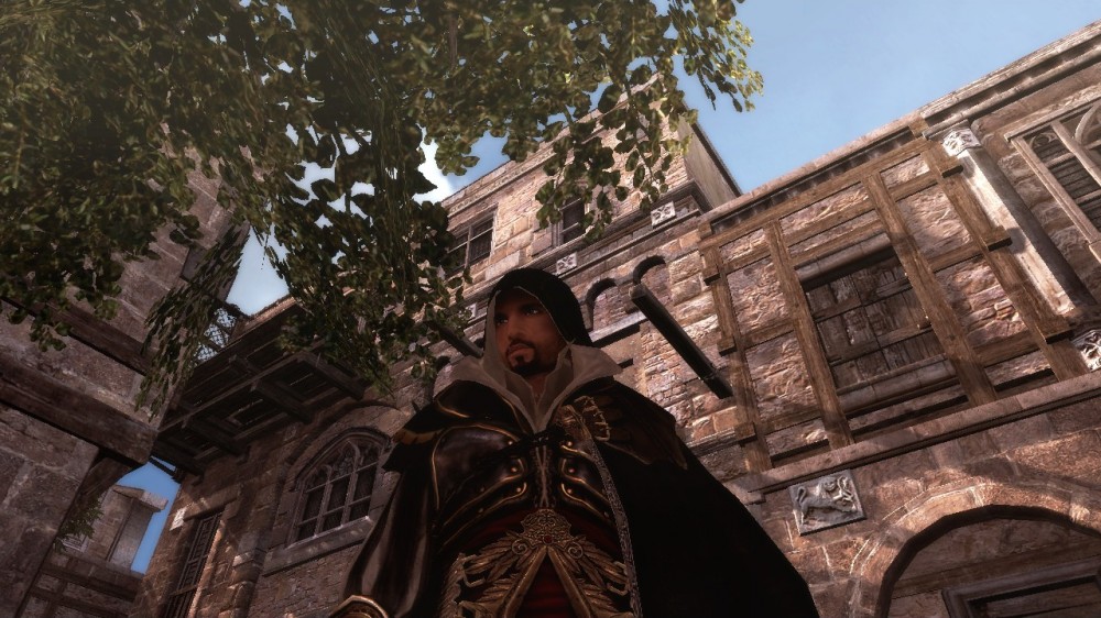 Assassin's Creed: Brotherhood