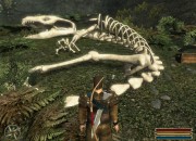 Gothic 3