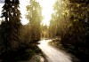 FlatOut 2
