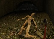 Half-Life 2
