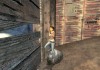 Half-Life 2