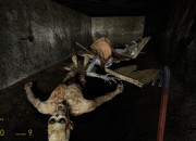 Half-Life 2